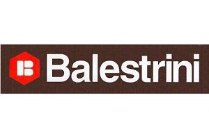 Balestrini Used Woodworking, Metalworking, Stone & Glass Machinery parts