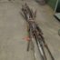 7ft Bar Clamps 1 LOT