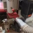Cantek ST-152C Single End Tenoner